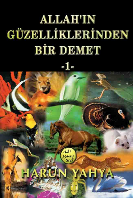 Allahın Güzelliklerinden Bir Demet - 1